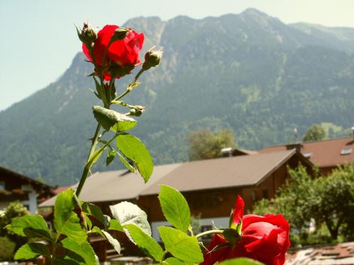 Haus Antonius - Bergbahnticket von Mai bis November inklusive!, Oberstdorf (photo 7)