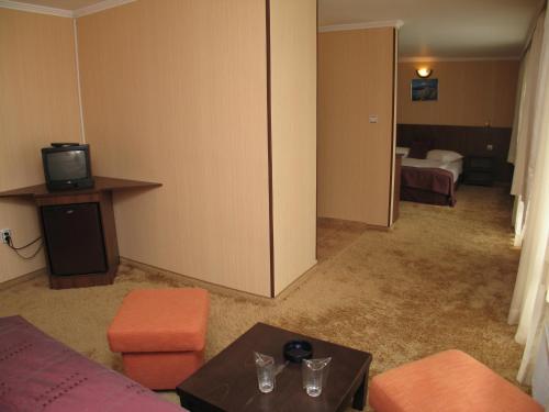 Family Hotel Yagoda88 - Free Parking, Sofia (photo 6)