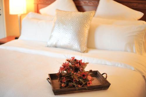Hotel XOLA Trademark Collection by Wyndham - main image