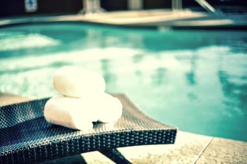 Hotel XOLA Trademark Collection by Wyndham - image 9