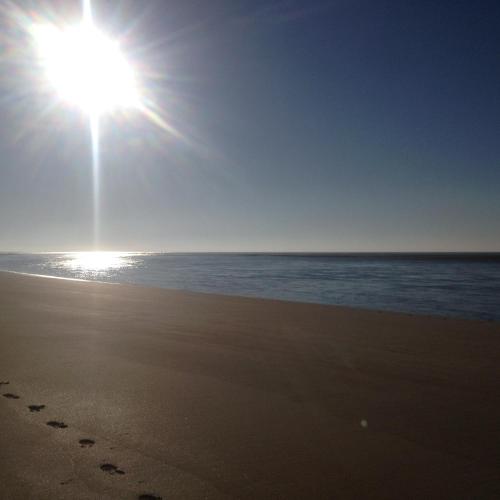 Piso Nuevo Portil - Edificio Albatros Piso Nuevo Portil - Edificio Albatros