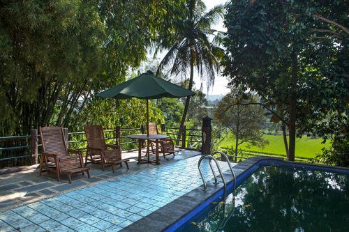 Villa Sawah Resort - 수영장