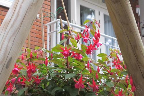 B&B West City Amsterdam - image 8