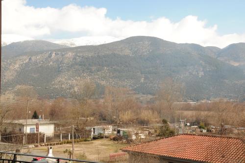 Domus Inn - image 4