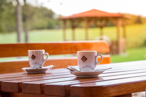 Wellness penzion Medličky - main image