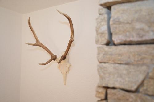 Apartment Matterhorn - GriwaRent AG - image 13