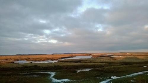 No 52 'Sea Holly' Holkham