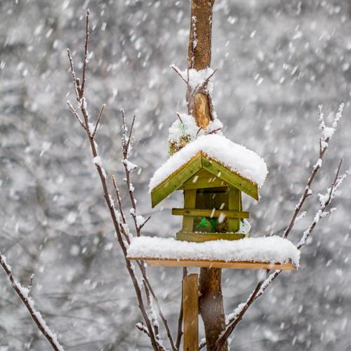 Accommodation in Oberhaslach