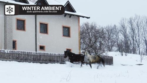 Eco Farm Milanovic - image 11