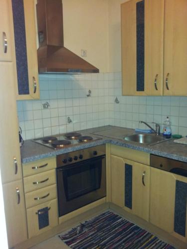 Apartment City-Center, Vídeň (fotografie 6)