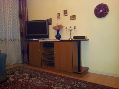 Apartment City-Center, Vídeň (fotografie 2)