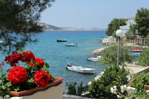 Apartments by the sea Stara Novalja Pag - 234 - image 4