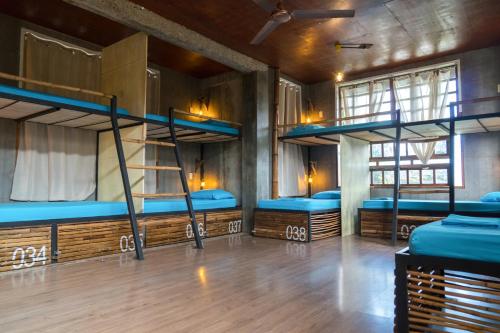 The Flying Fish Hostel Room Type - Bed in 8-Bed Mixed Dormitory Room