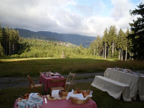 Hotel Restaurant Peterle - image 6