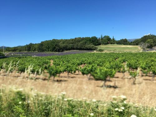 La table de Magali - image 7