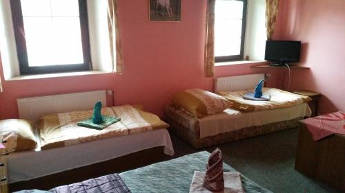 Guesthouse Pegas Depoltovice