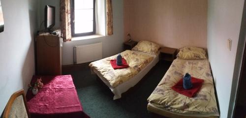 Guesthouse Pegas Depoltovice
