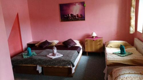 Guesthouse Pegas Depoltovice