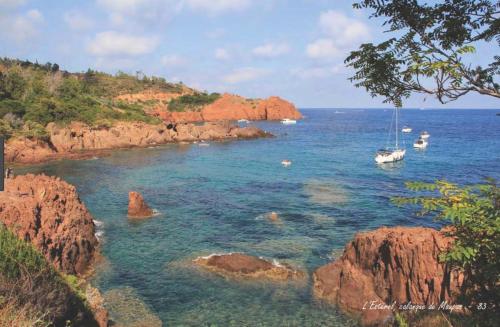 Bright apartment with a garden and a wonderfull sea view in 주앙-레-팽 시티 센터