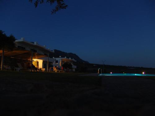 Studios Fokies - image 2