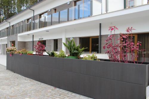 Beleza Serra Guide Hotel - image 12