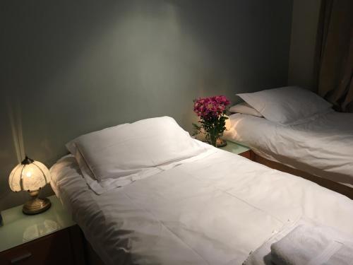 Drummond Apartment, Edimburgo (foto 8)
