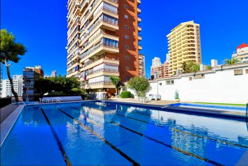 Piscis Of The Sea Benidorm