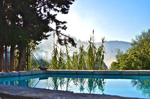 مسبح, Sa Vall Valldemossa in فالاديموسا