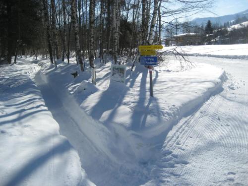 Alpen Chalet Eben - image 7