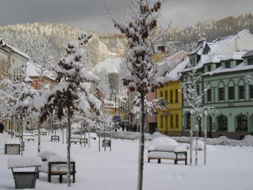 Hotel Anna Nejdek - image 4