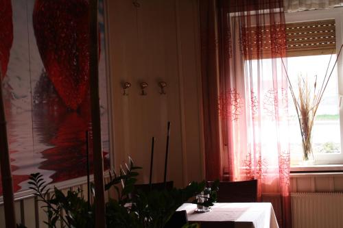 Guesthouse ob Sotočju Budič - image 4