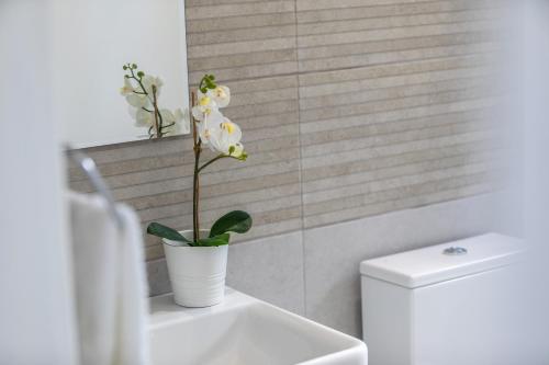 Mackenzie Zoe Seafront Suite - image 6