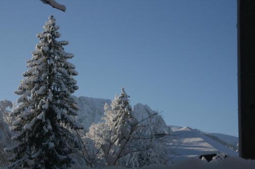 Apartamenty Paradis Zakopane - image 5