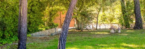 Quinta Dos Amarelos no Meco - image 6