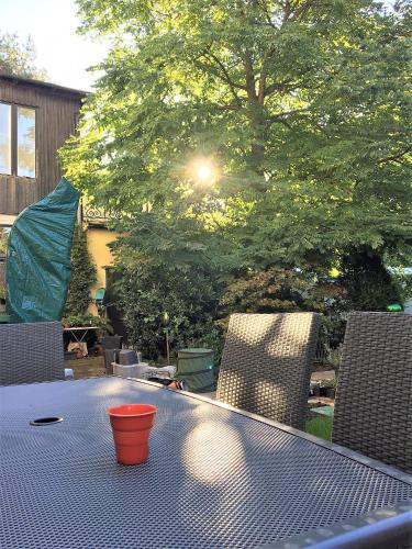 Apartment Schönbrunn - image 2