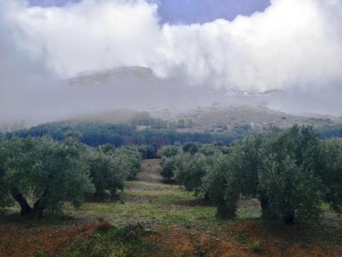 Alojamiento Rural la Caseria de Piedra Restaurante