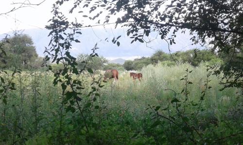 Cabañas Llajta Sumaj