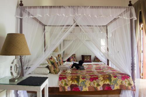 Why House, Unawatuna (photo 10)