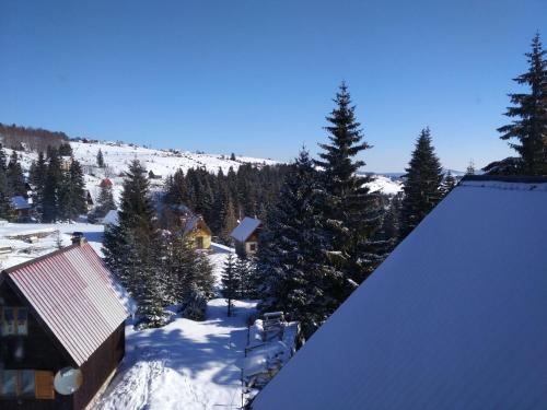 景觀, Apartment Durmitor in 扎布利亞克