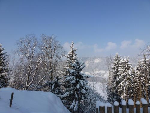 Murbergerhof in Öblarn