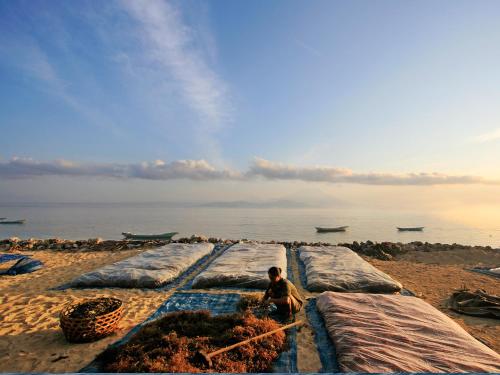 設施, 龐多克岩加拉度假村 (Pondok Jenggala Bungalow) in 倫邦岸島