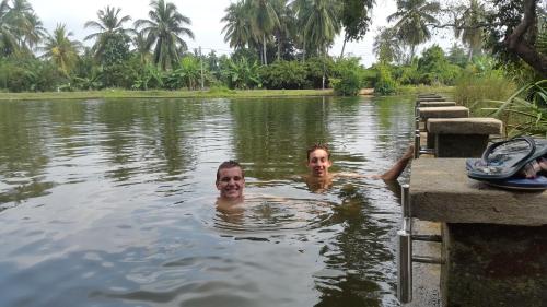 Priyanna Guest, Forest view