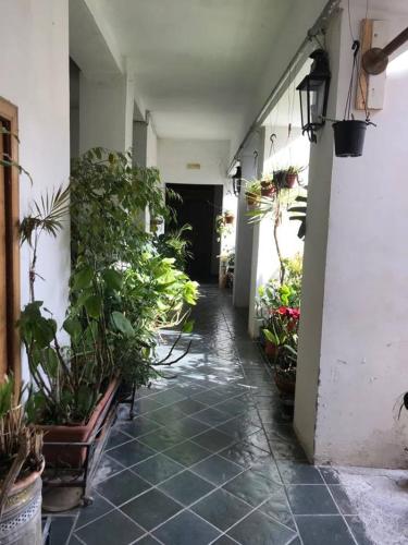 Chiaia Guest House - image 5