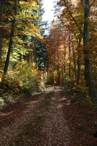Sontheimer Wirtshausle in Steinheim am Albuch