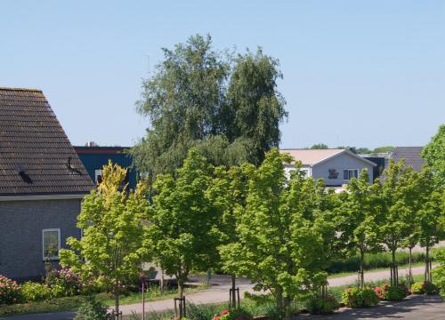 The Studio Guesthouse - image 13