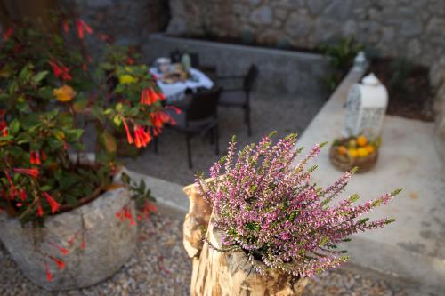 Tamburika - image 12