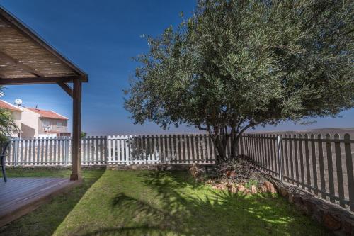 Adi in the desert in Arad