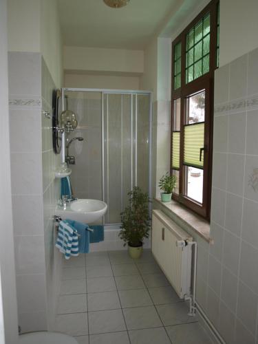 Pension Zum Burschen - image 10
