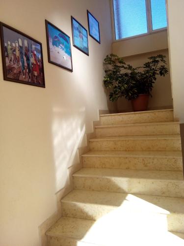 Eagle house - image 4