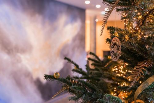 Régence Etoile - image 6